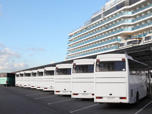 Mit vielen Bussen auf Landausflug.